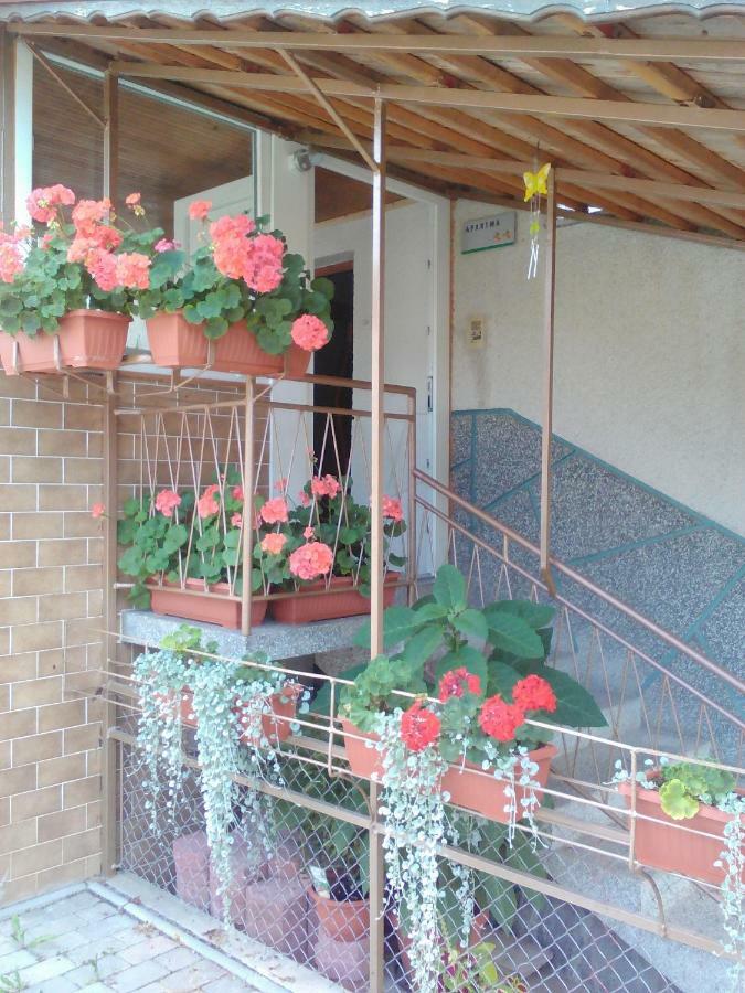 Apartment Janja Vojnik Exterior foto